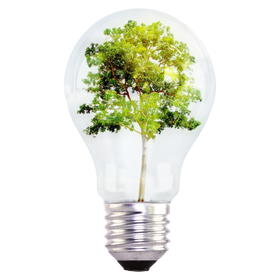 Ampoule écologique