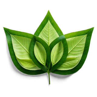 Logo Evirum Feuille de vigne